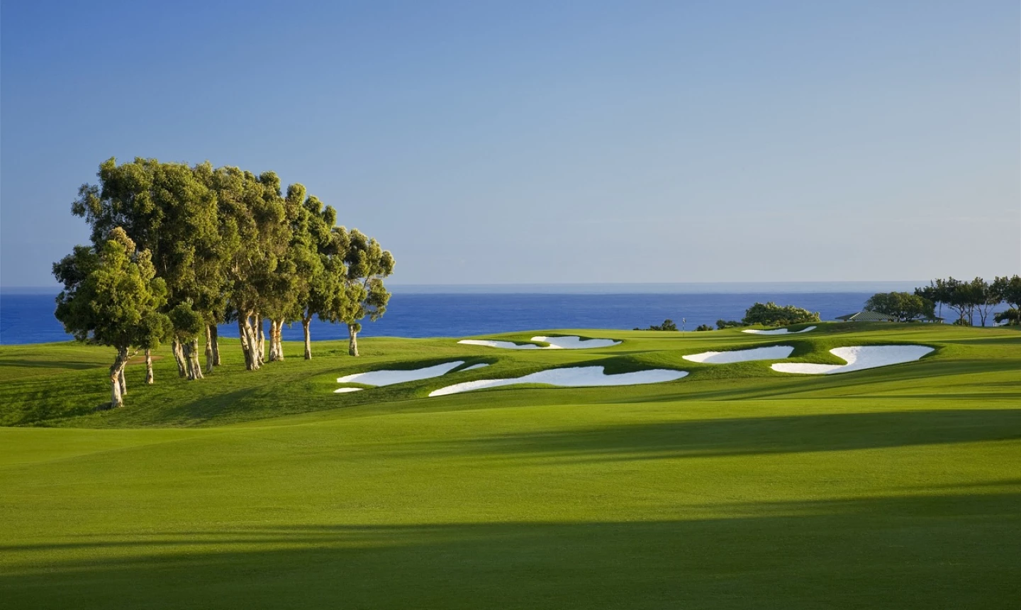 Makai Golf Club at St. Regis Princeville - No. 12