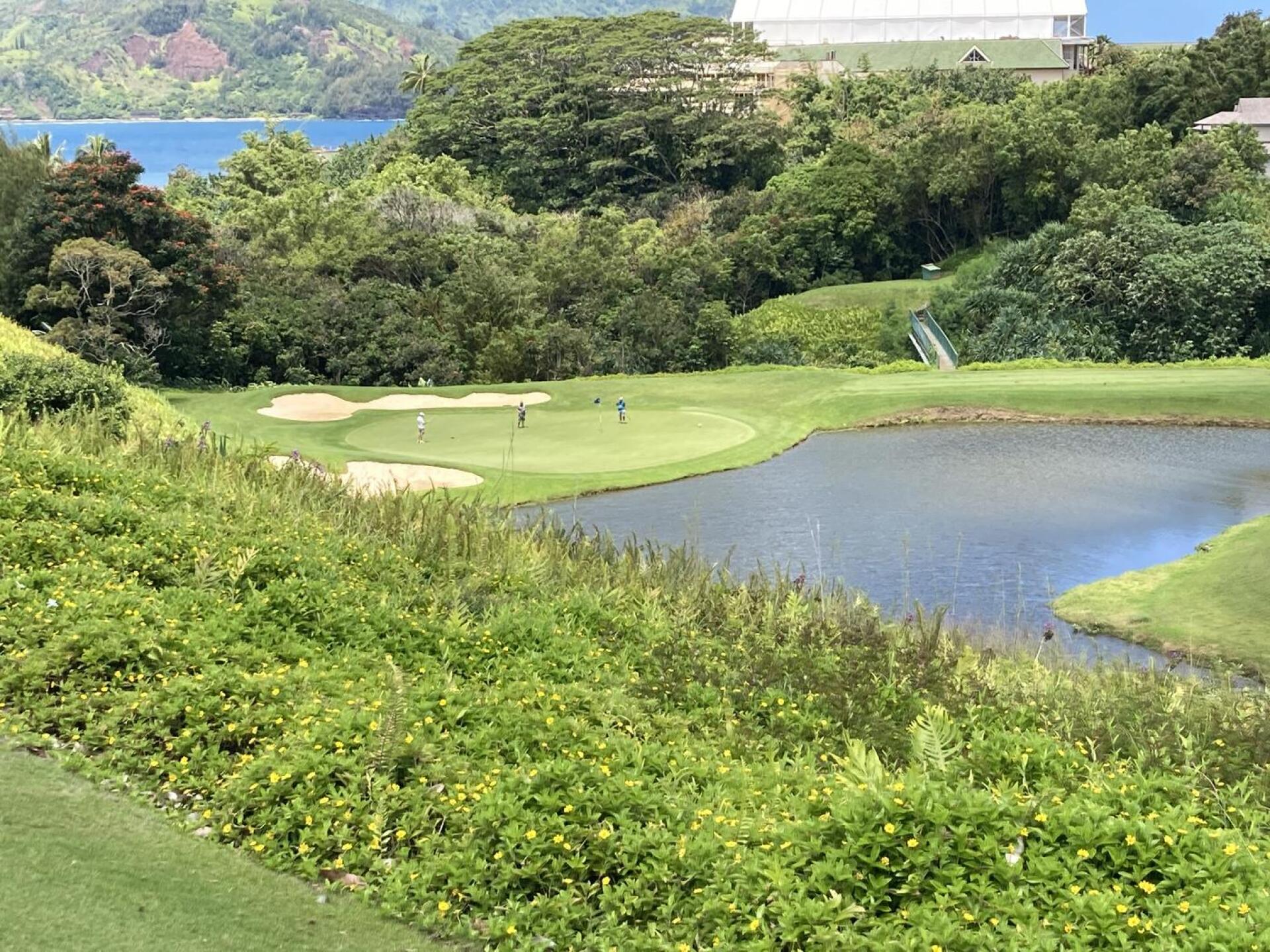 severely downhill. LOL. (Photo submitted by willdrobins on 08/02/2021)