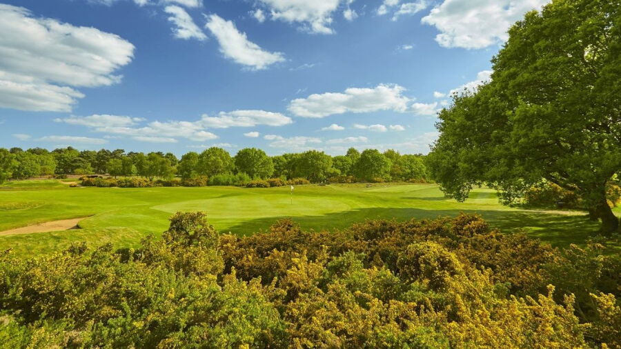 Woodbridge GC