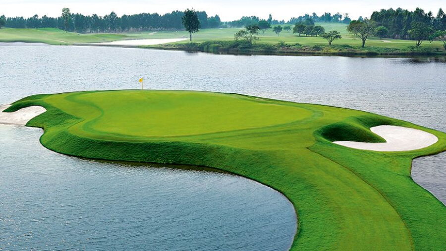 Ayodhya Links GC