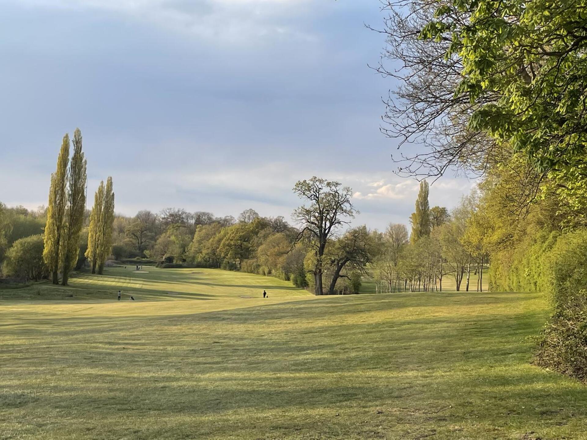 (Photo submitted by u314161520822 on 10/18/2021)