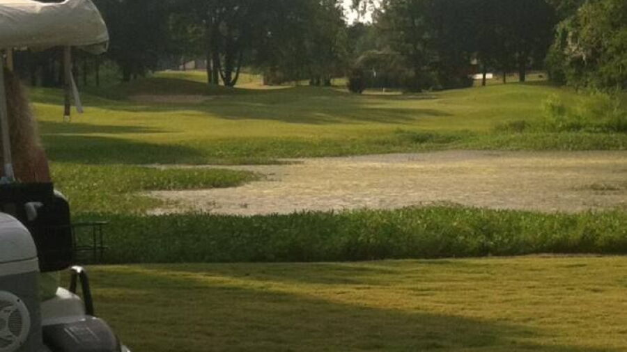Mount Pleasant CC: #15