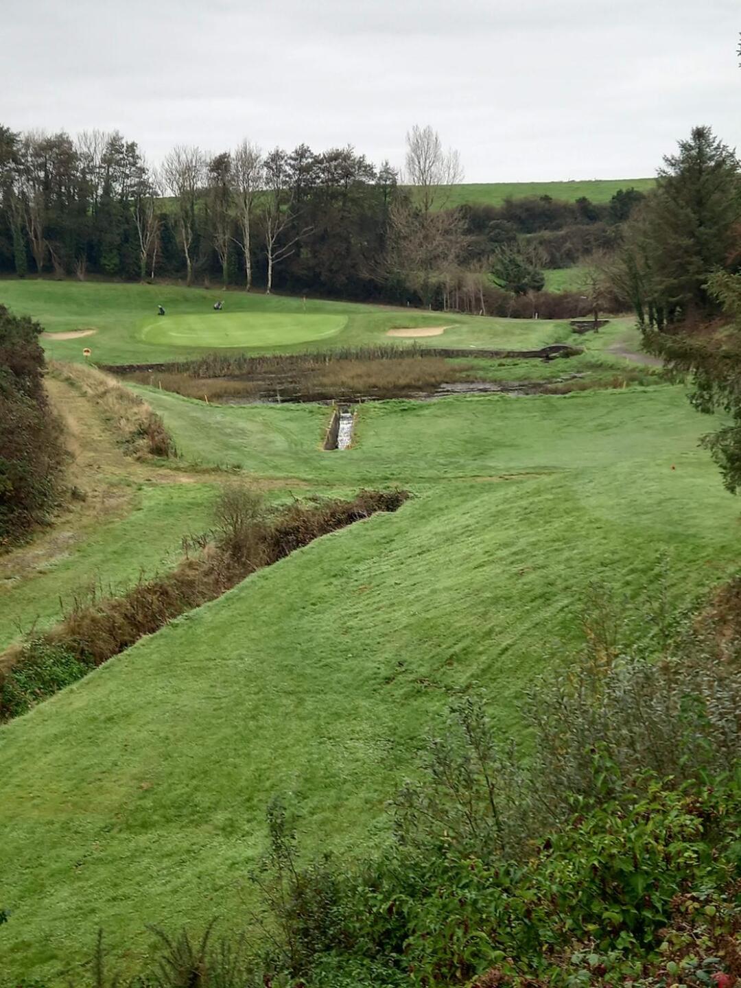 (Photo submitted by Hoddy on 11/06/2024)