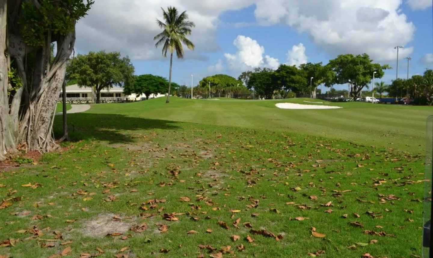 Melreese GC at International Links