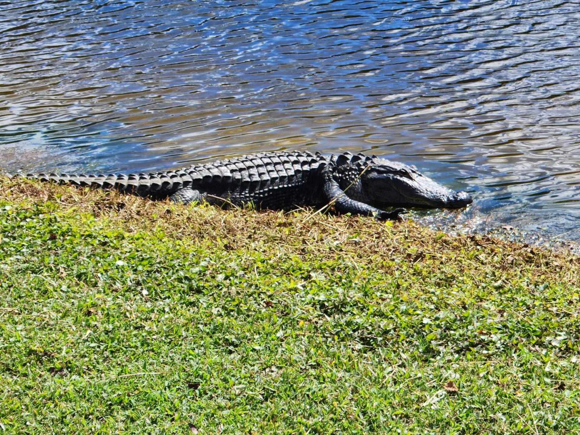 Hole#3 (Photo submitted by Shep9350669 on 11/06/2022)