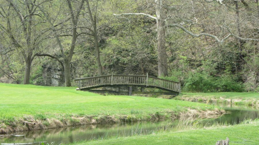 Cumberland CC: #15