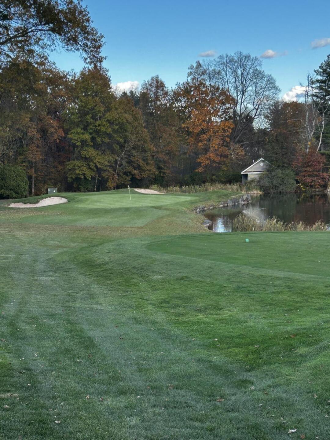 I just want to play (Photo submitted by Jamesbrianlow on 10/27/2025)