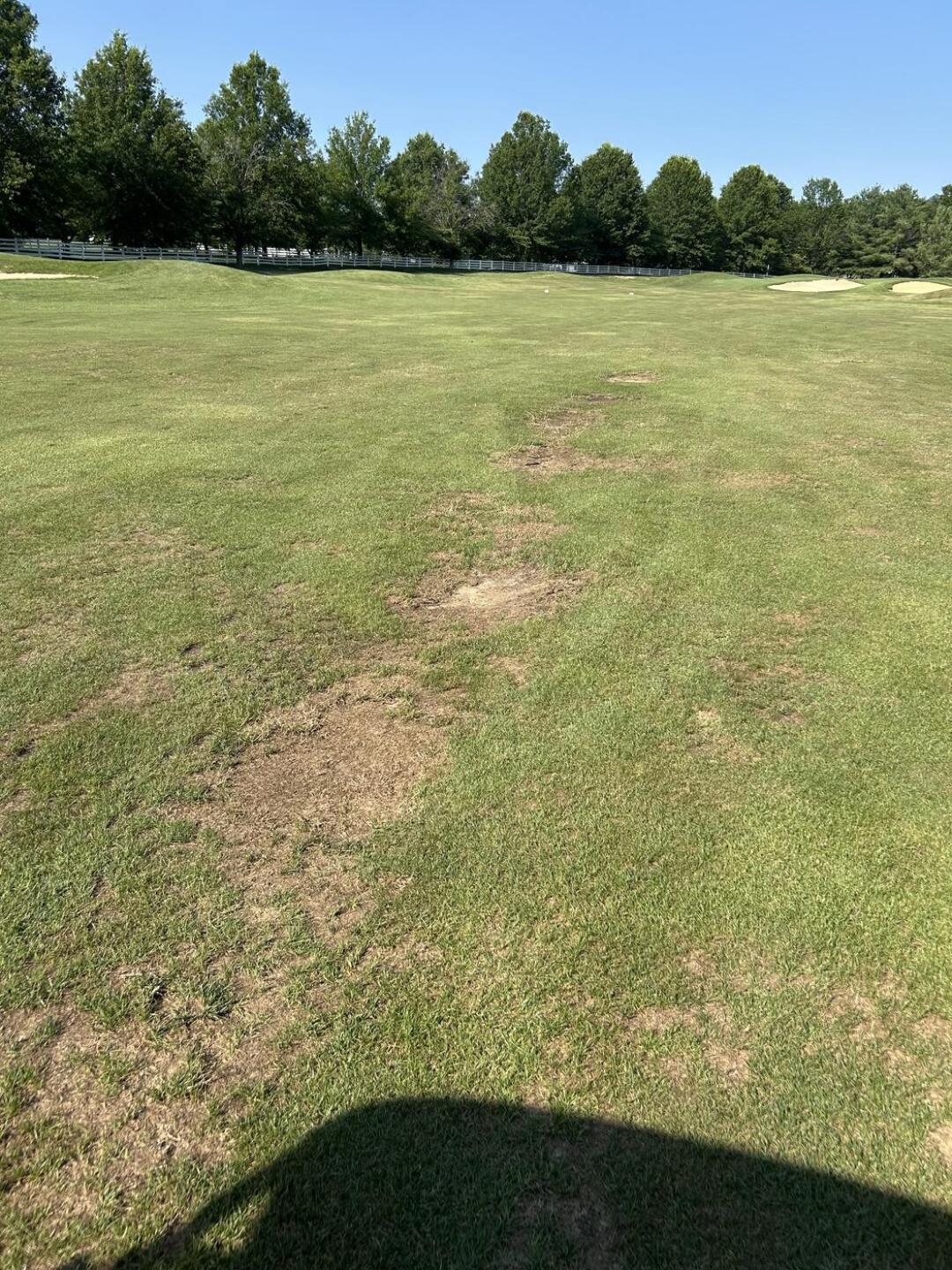 (Photo submitted by jrybarcz on 07/05/2025)