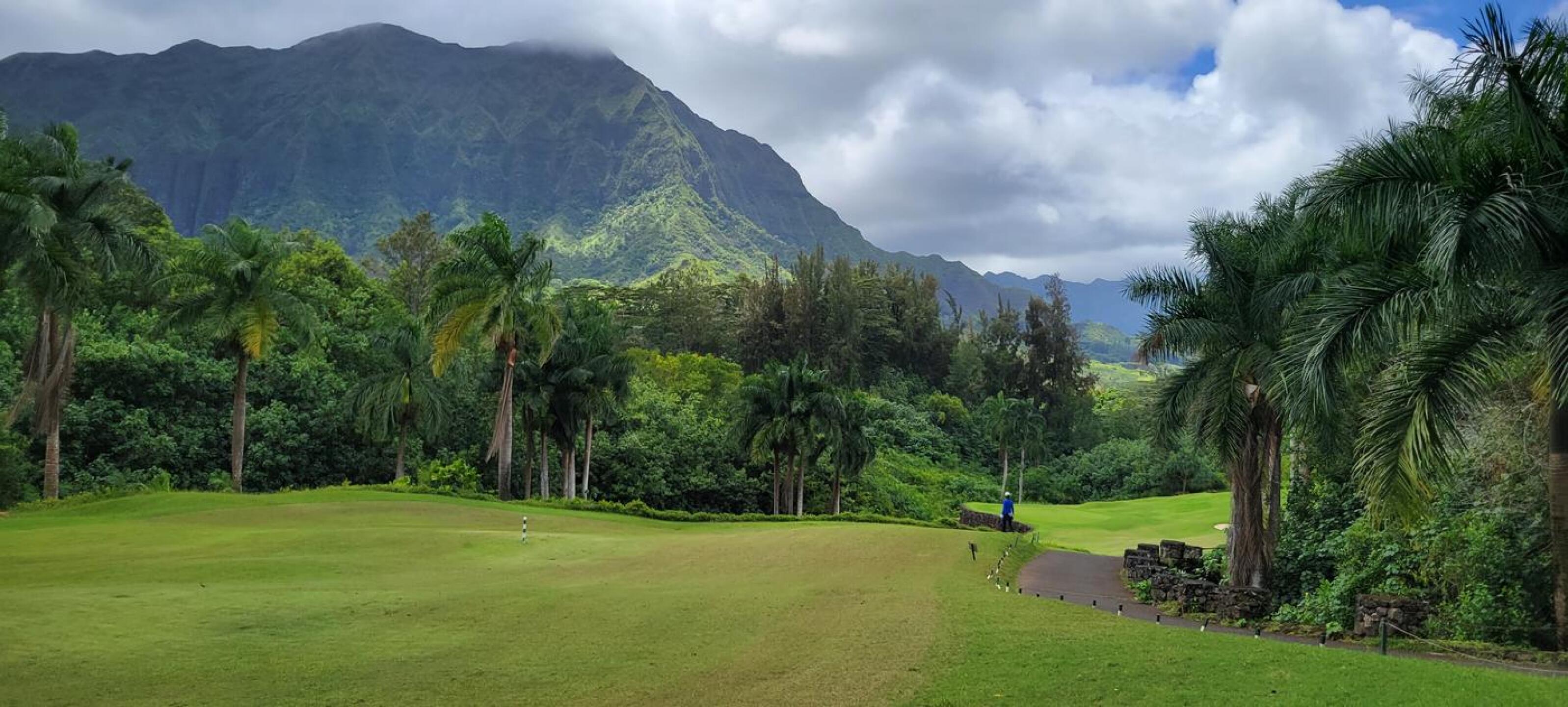 Jungle golf (Photo submitted by u314163090002 on 07/20/2022)