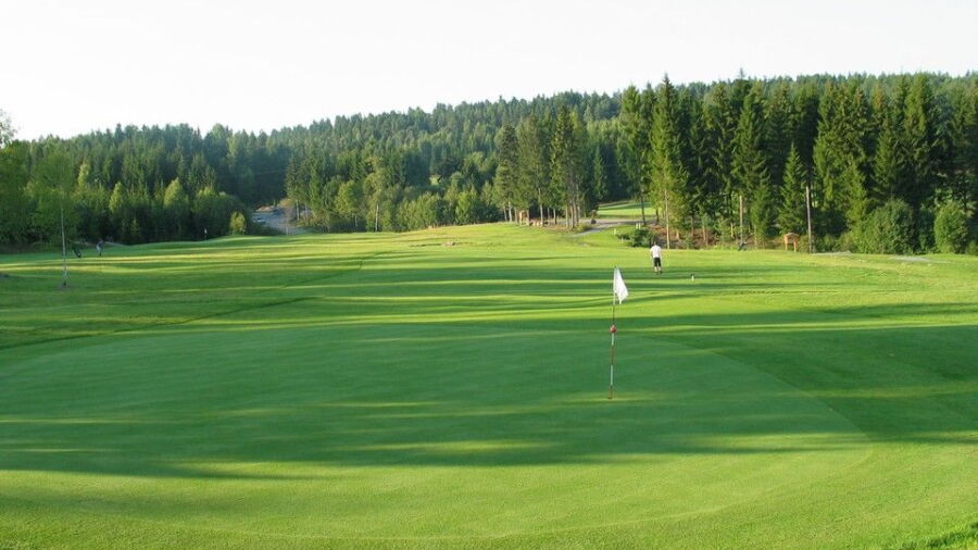 Kjekstad GC - Short: #1