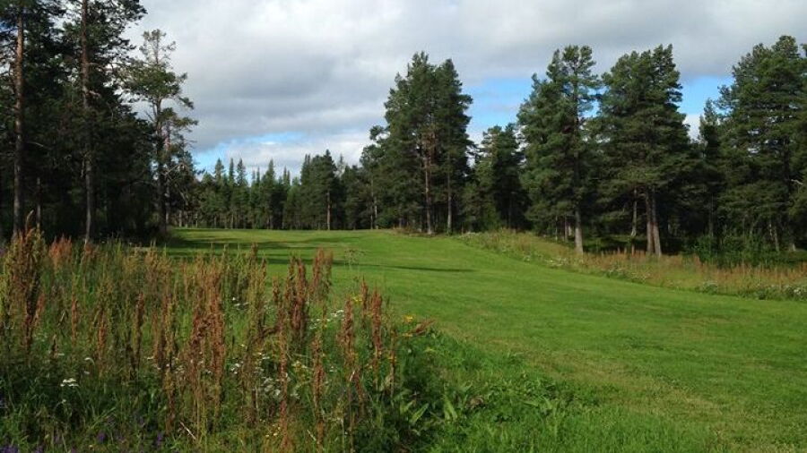 Kiruna GC