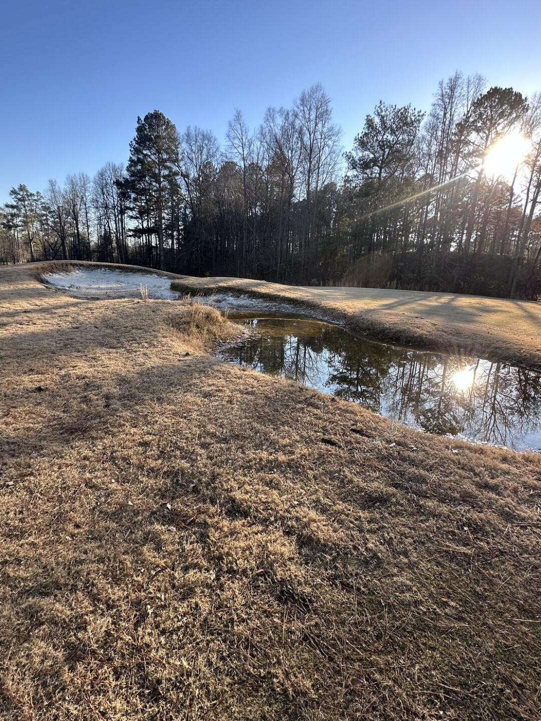 Bring a small fishing rod and you may catch a souvenir Frog (Photo submitted by Zachariah5727992 on 01/01/2025)
