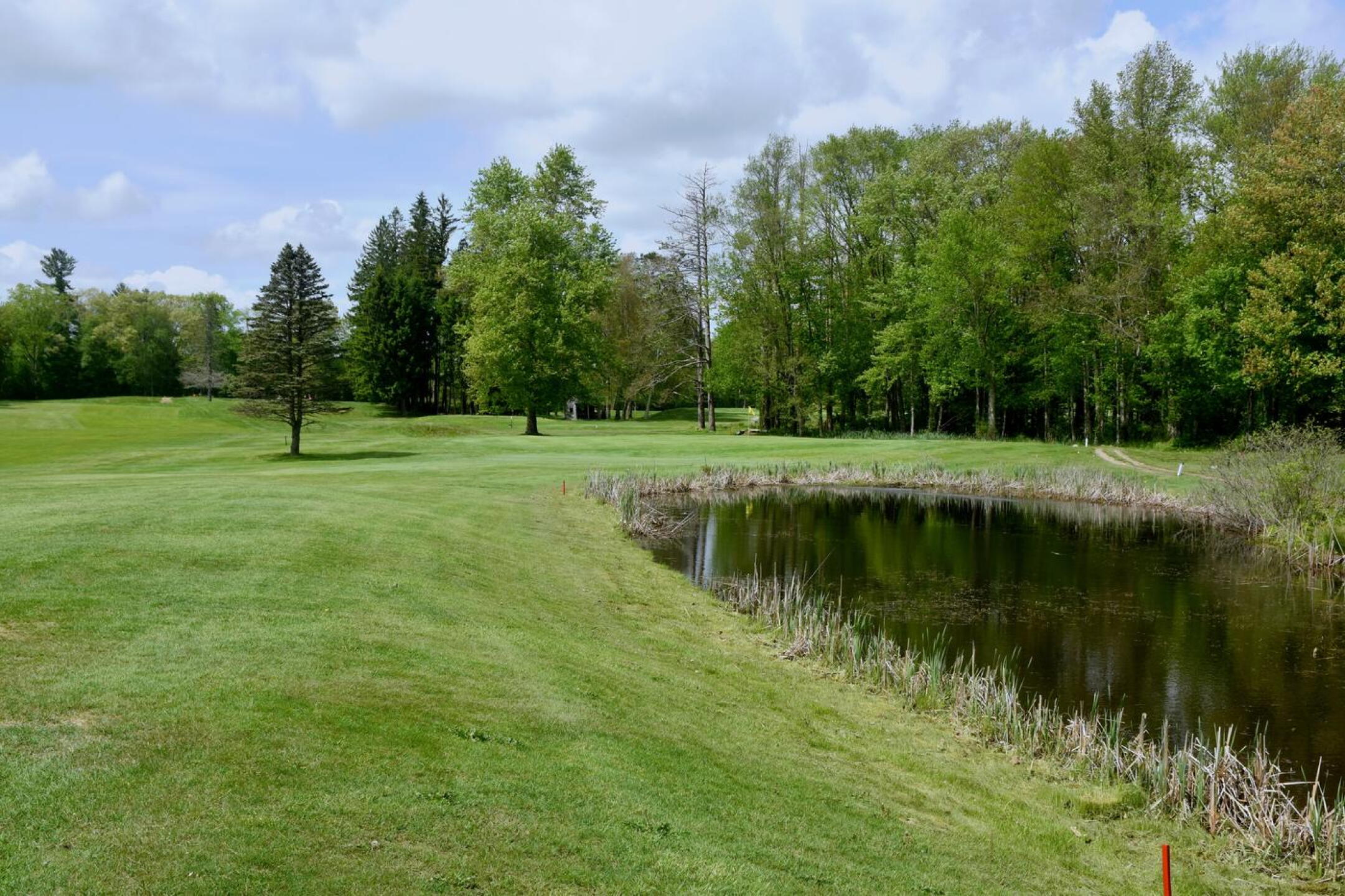 The fifth hole, a par-3, could be the most scenic at SGC. (Photo submitted by AptlyLinked on 05/21/2025)