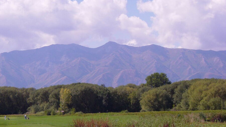 Logan River GC: #16