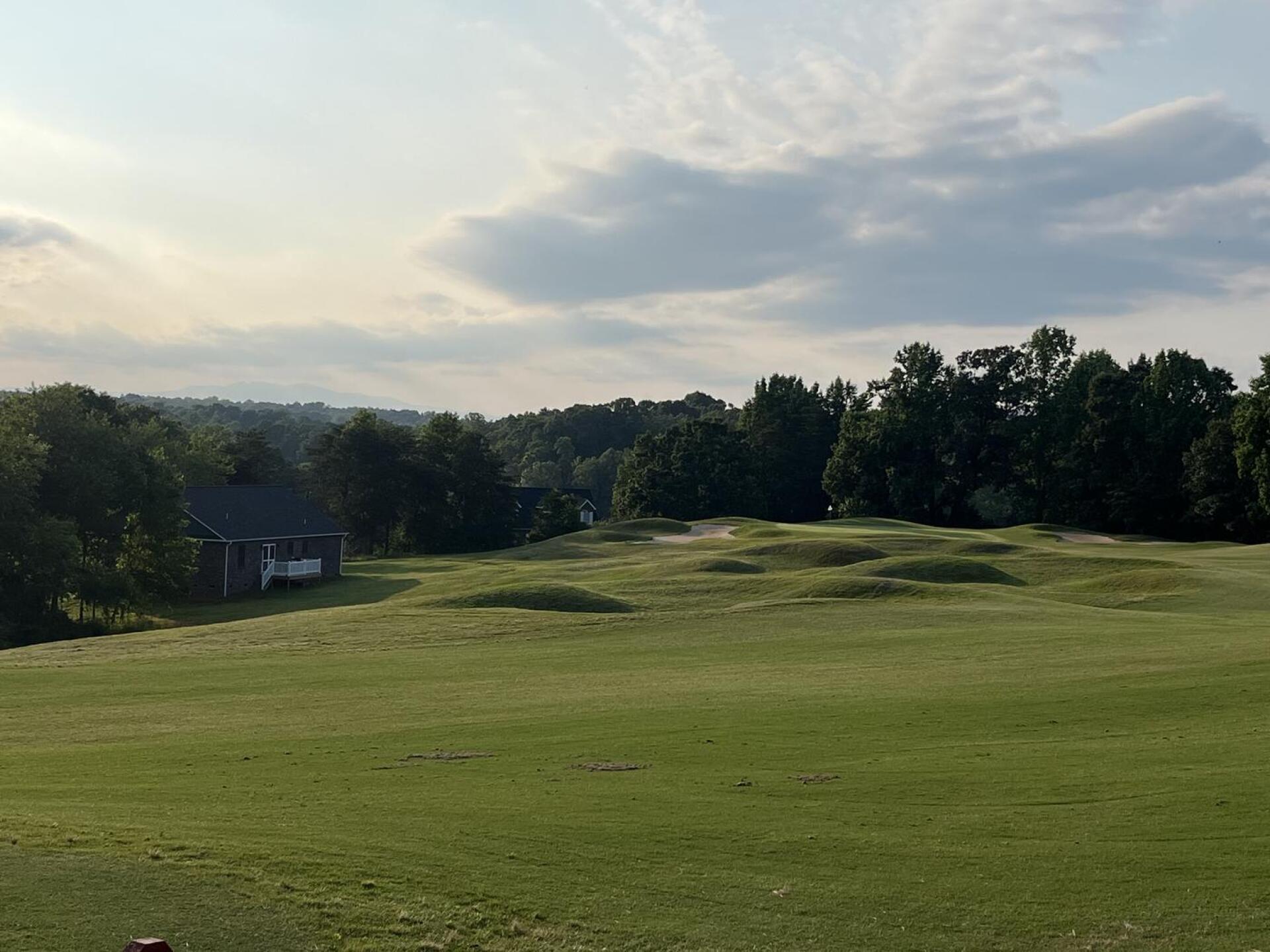 (Photo submitted by almatamoros on 06/06/2025)