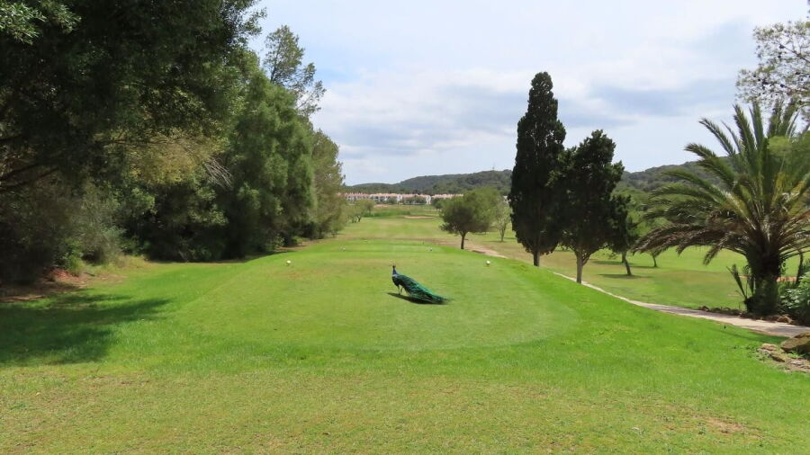 Golf Son Parc Menorca
