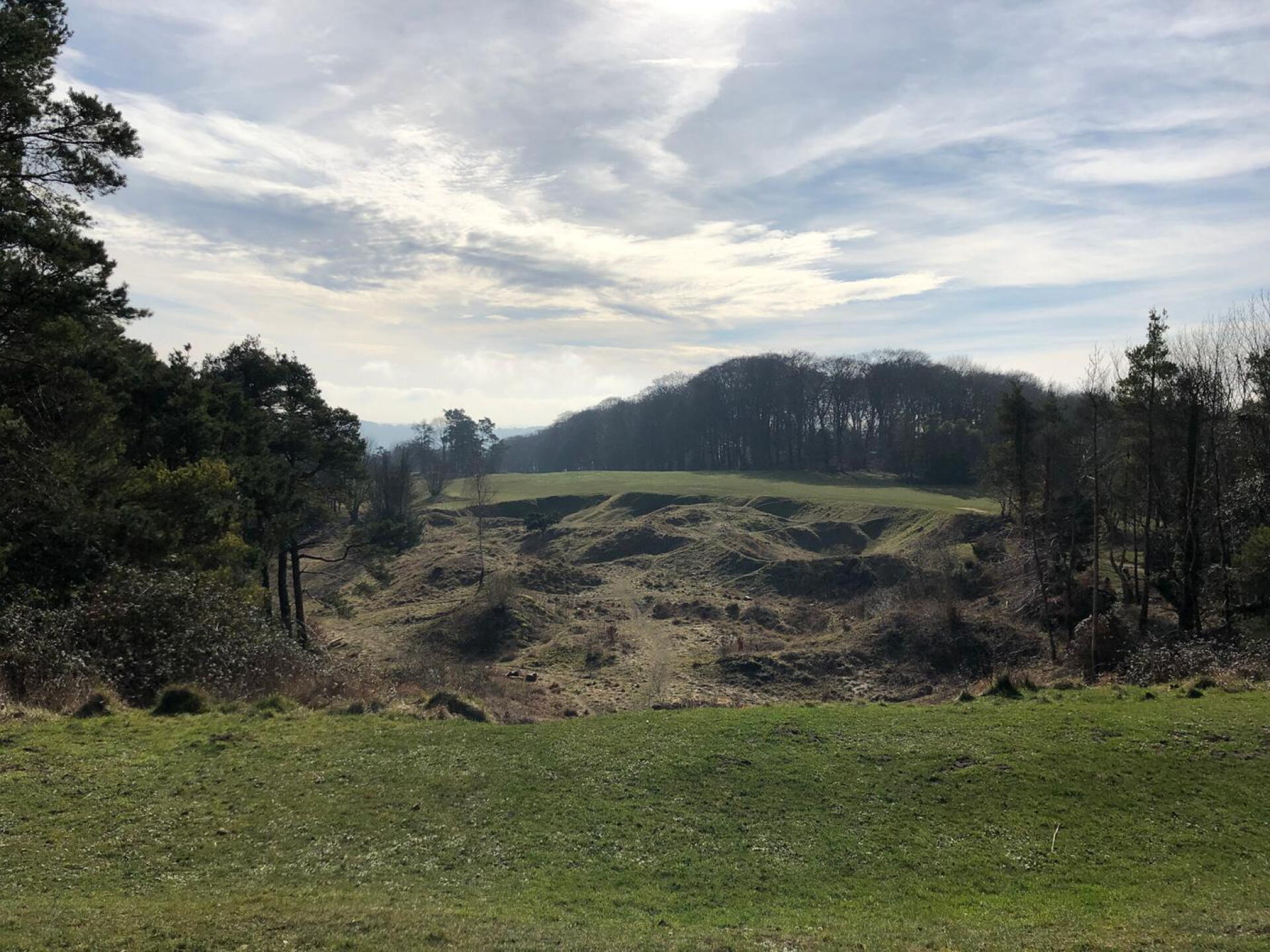(Photo submitted by u759866000 on 02/22/2019)
