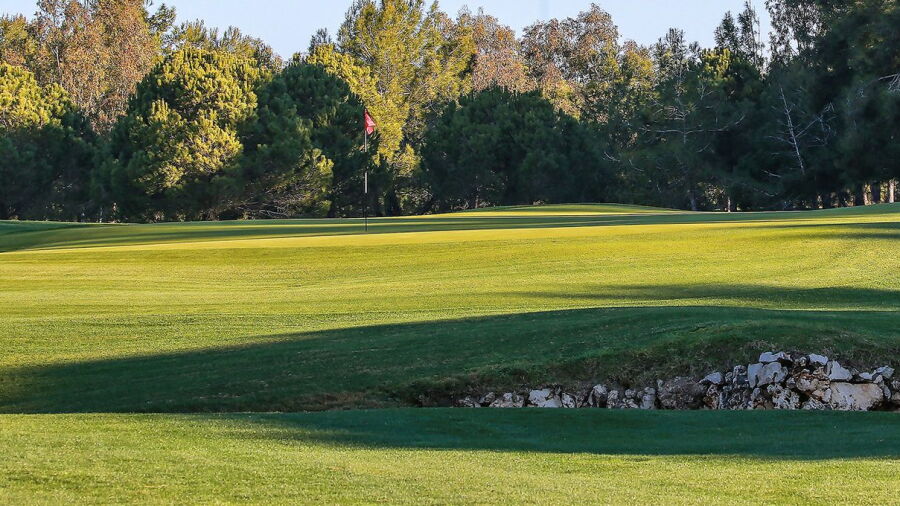Titanic GC - The Forest