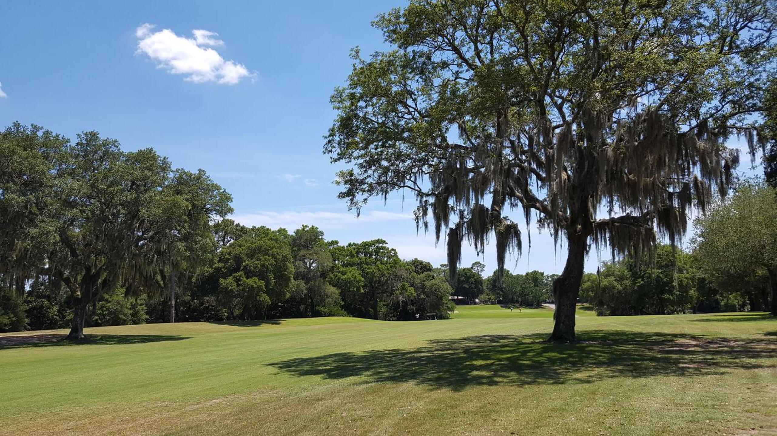 Pines 16 fairway (Photo submitted by Richard6386039 on 06/14/2020)