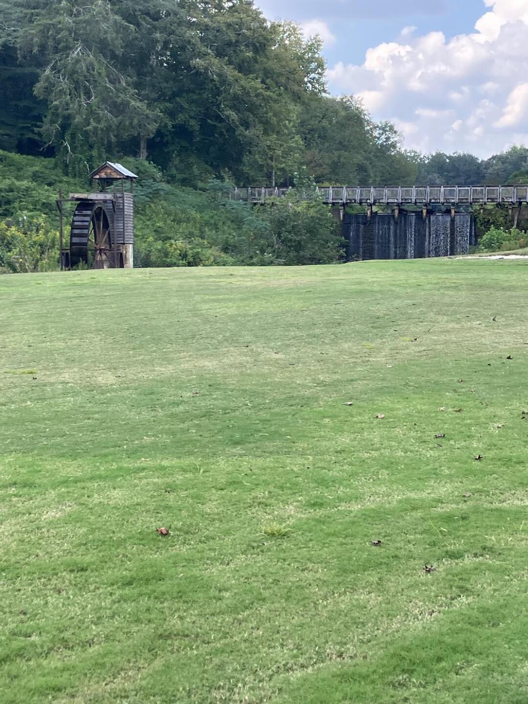 (Photo submitted by OPPBr5gkRoNlDl899JGg on 09/21/2025)