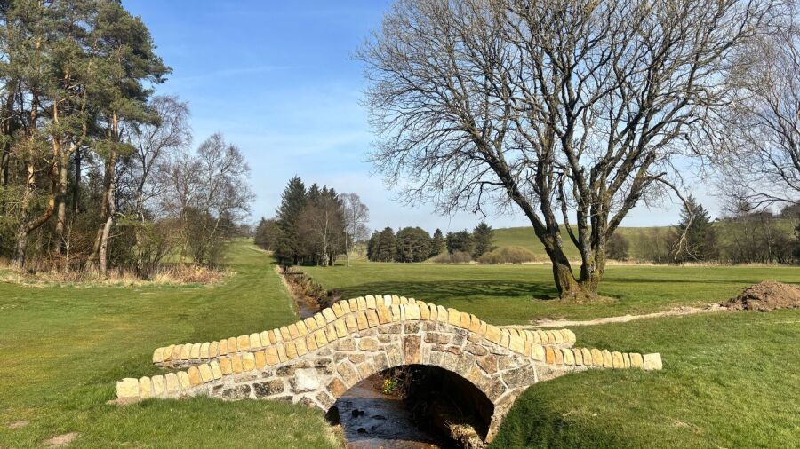 Eastwood Twelve GC
