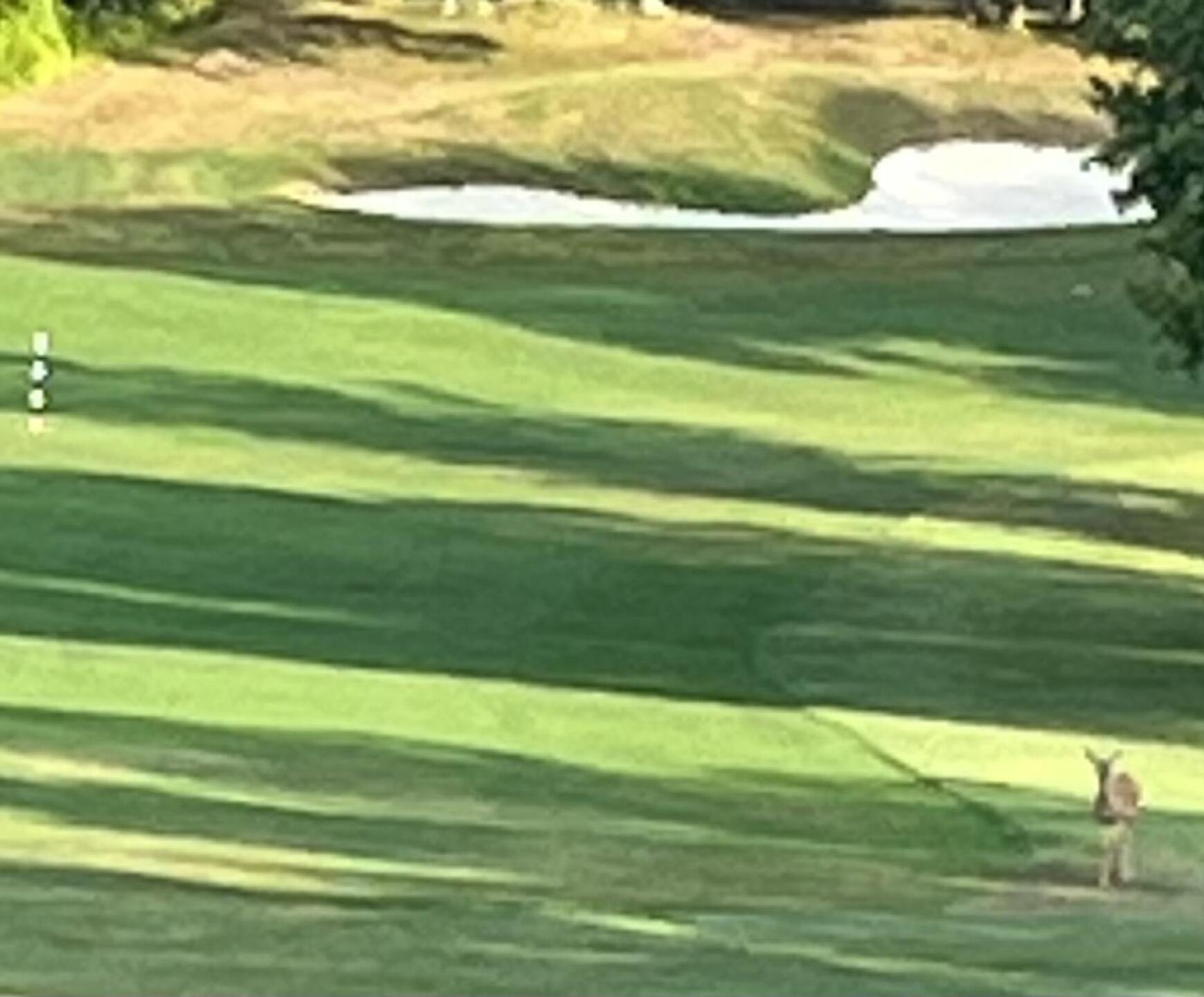 (Photo submitted by jbdearing on 08/14/2025)