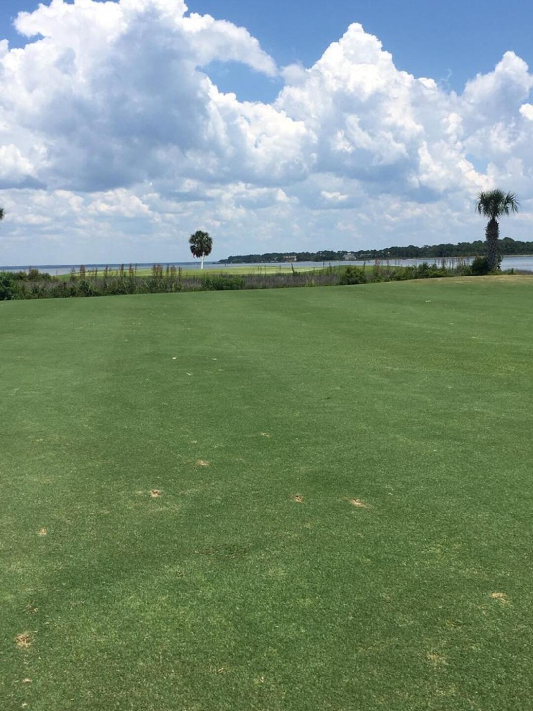 (Photo submitted by cgreysonevans on 06/04/2022)