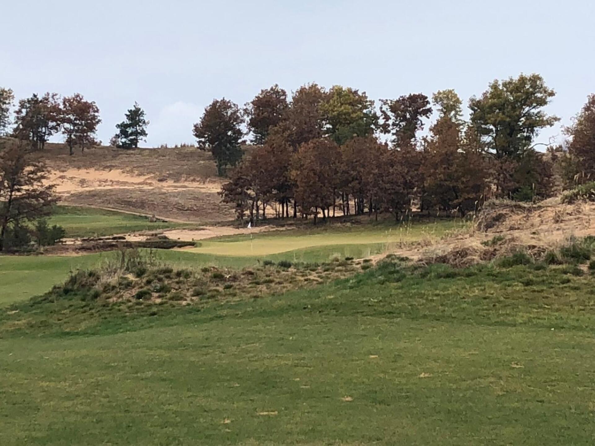 Hole 15 - Par 4 (Photo submitted by BryanTweed16 on 10/30/2018)