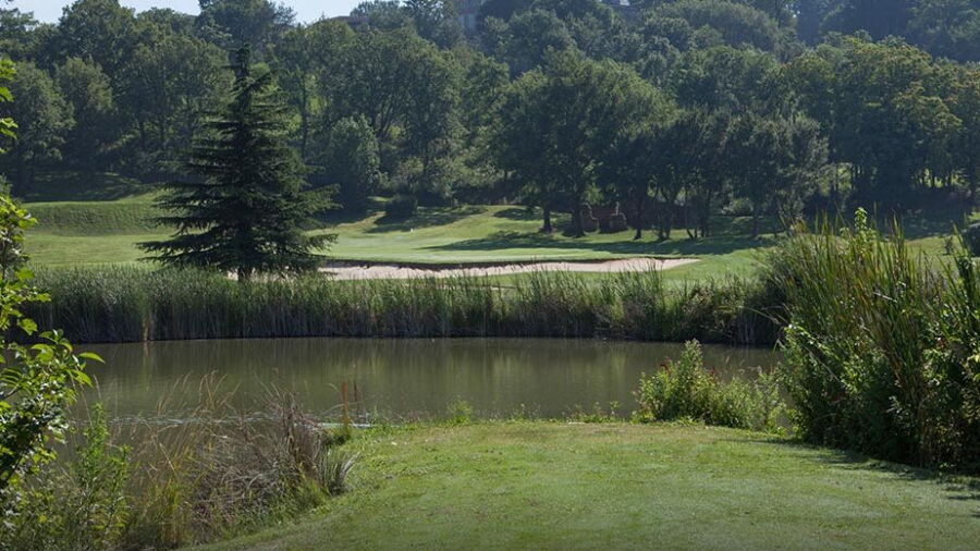 Albon GC