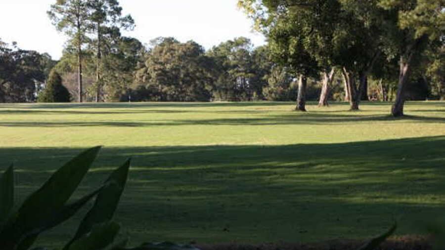 Griffin Bell GC