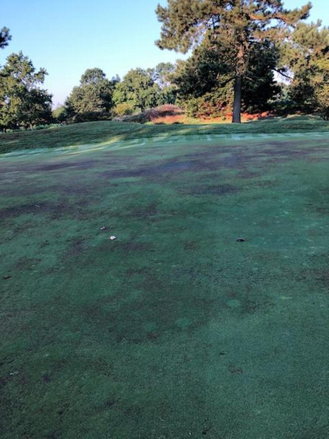 6th "Green" (Photo submitted by DrOldSchool on 08/15/2018)