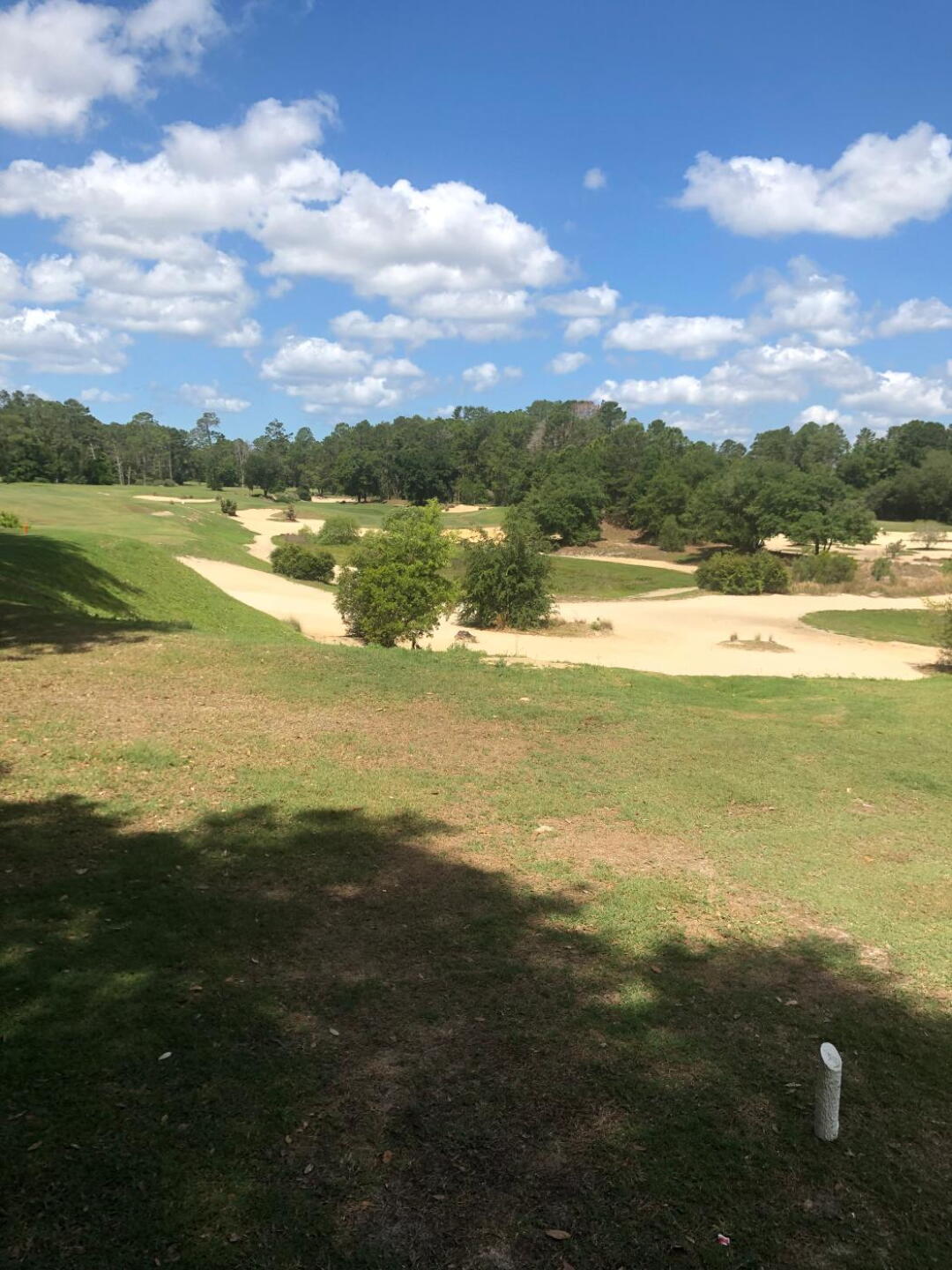 (Photo submitted by Richie4326581 on 05/02/2019)