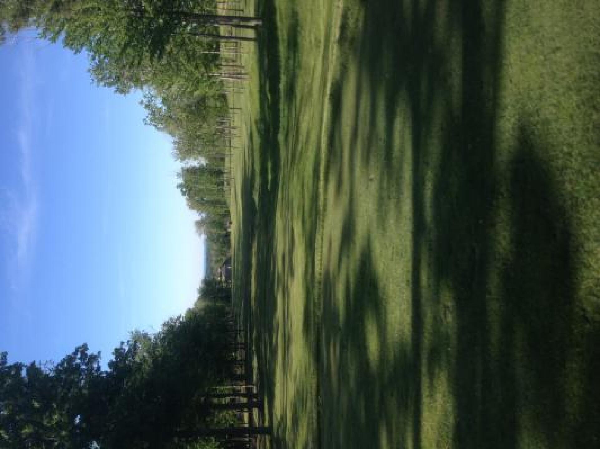 (Photo submitted by mmpizzino on 05/26/2013)