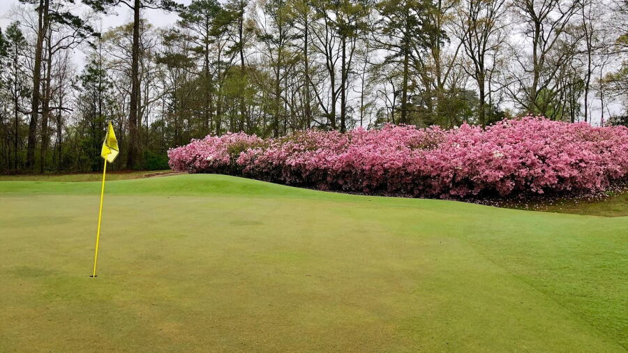Duncan Park GC
