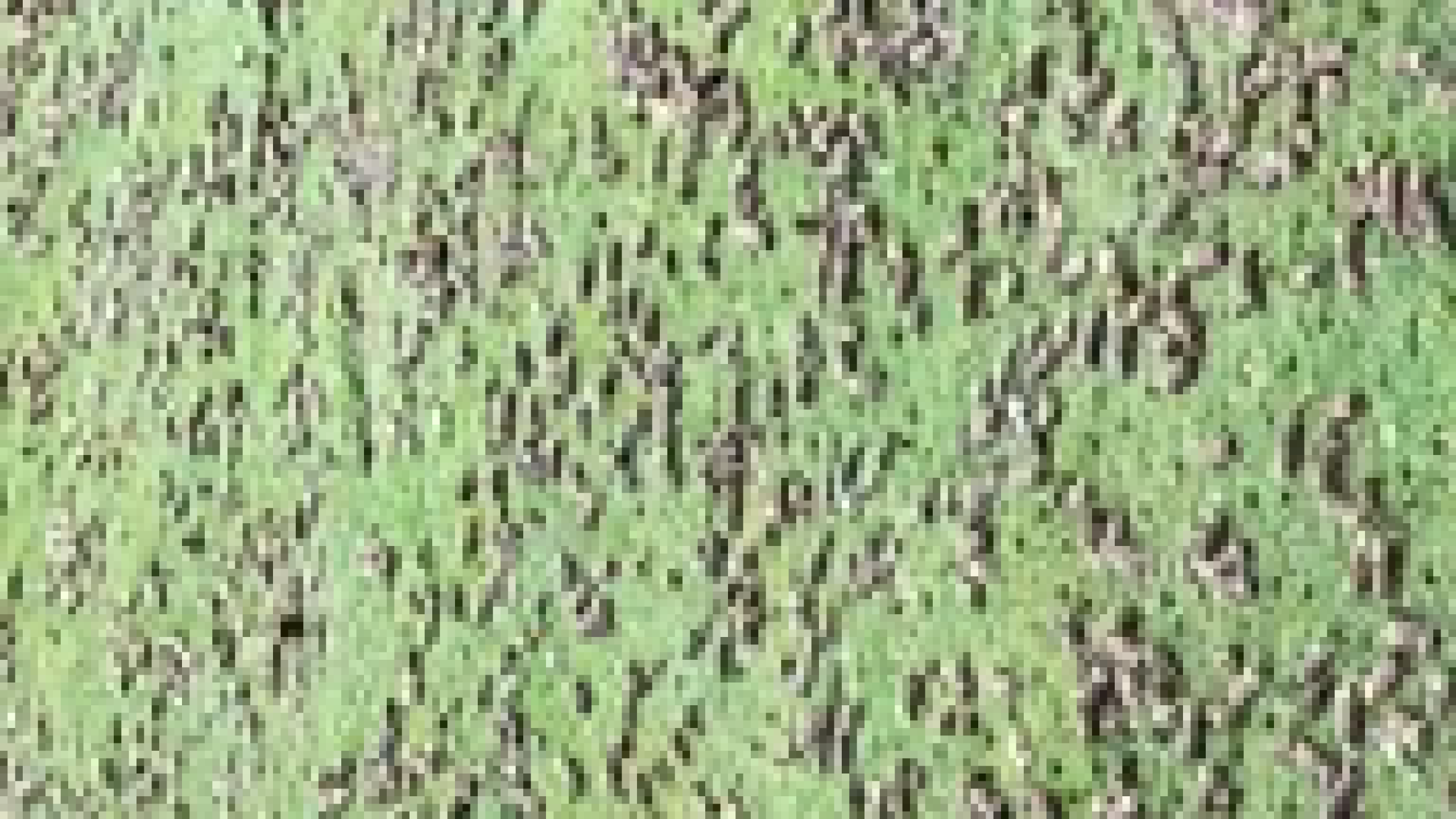 image-00001.png