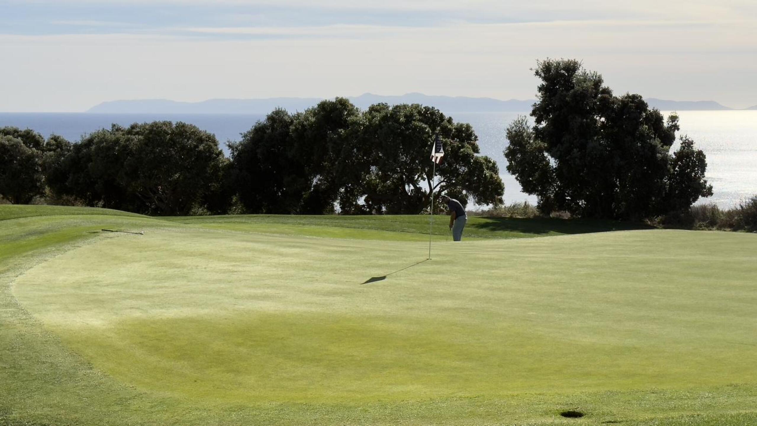 (Photo submitted by pclark203 on 01/22/2025)