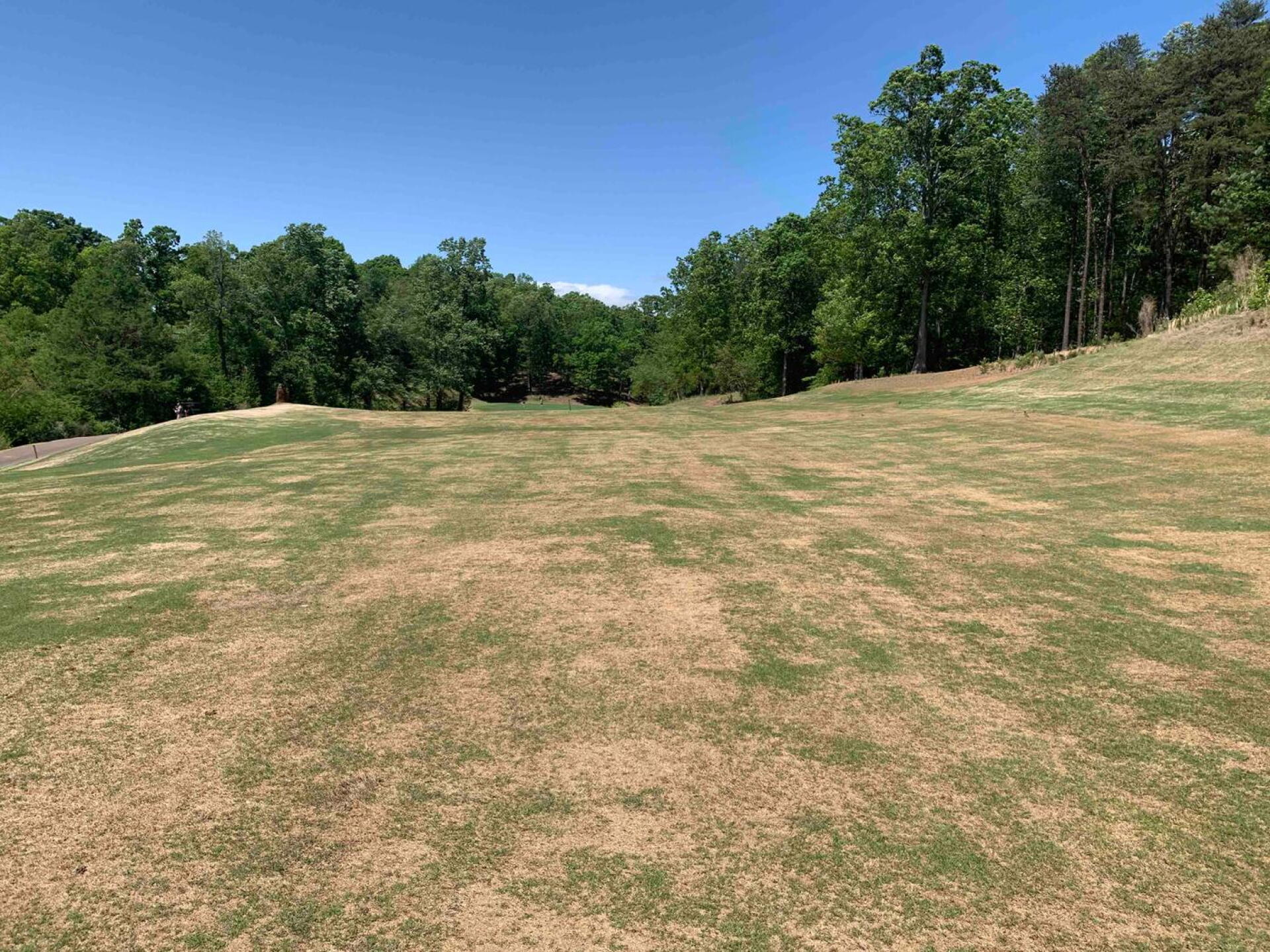 Different fairway (Photo submitted by VSGP8MvcM5fQwPXvSDqI on 04/28/2020)