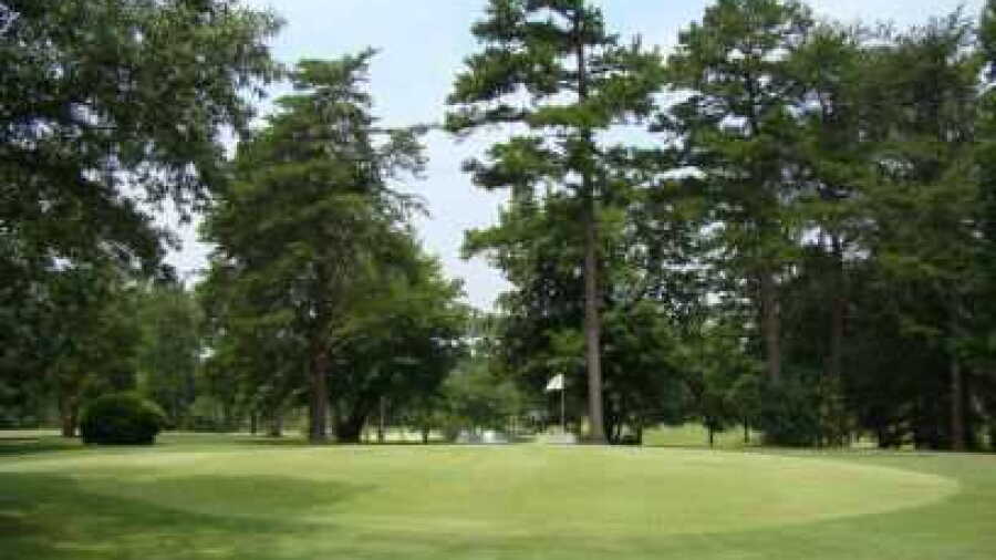 Walnut Wood GC: #10