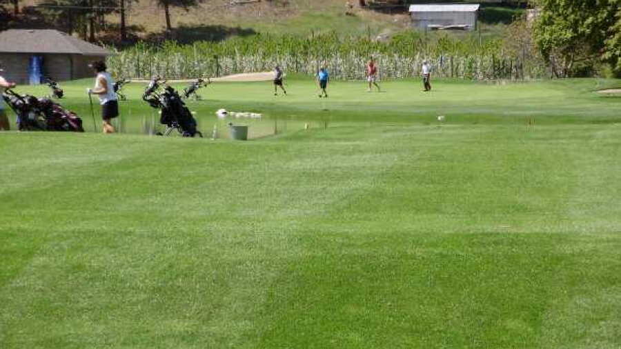 Summerland GC: #4
