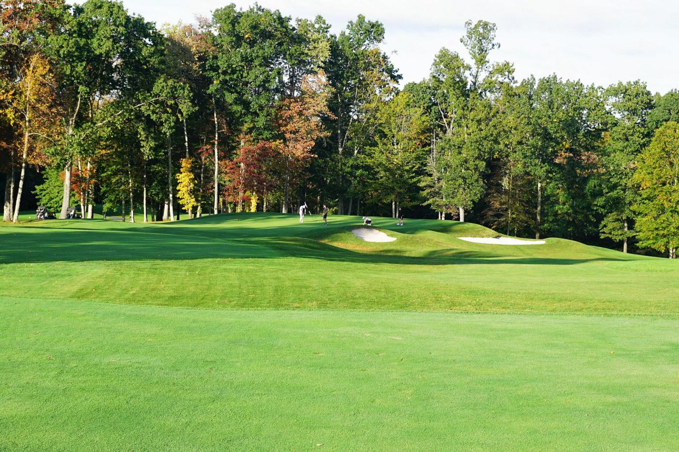 The twelfth, a downhill par-3 of 168, gives you a slight breather on a back nine that supplies little respite. (Photo submitted by AptlyLinked on 10/14/2021)