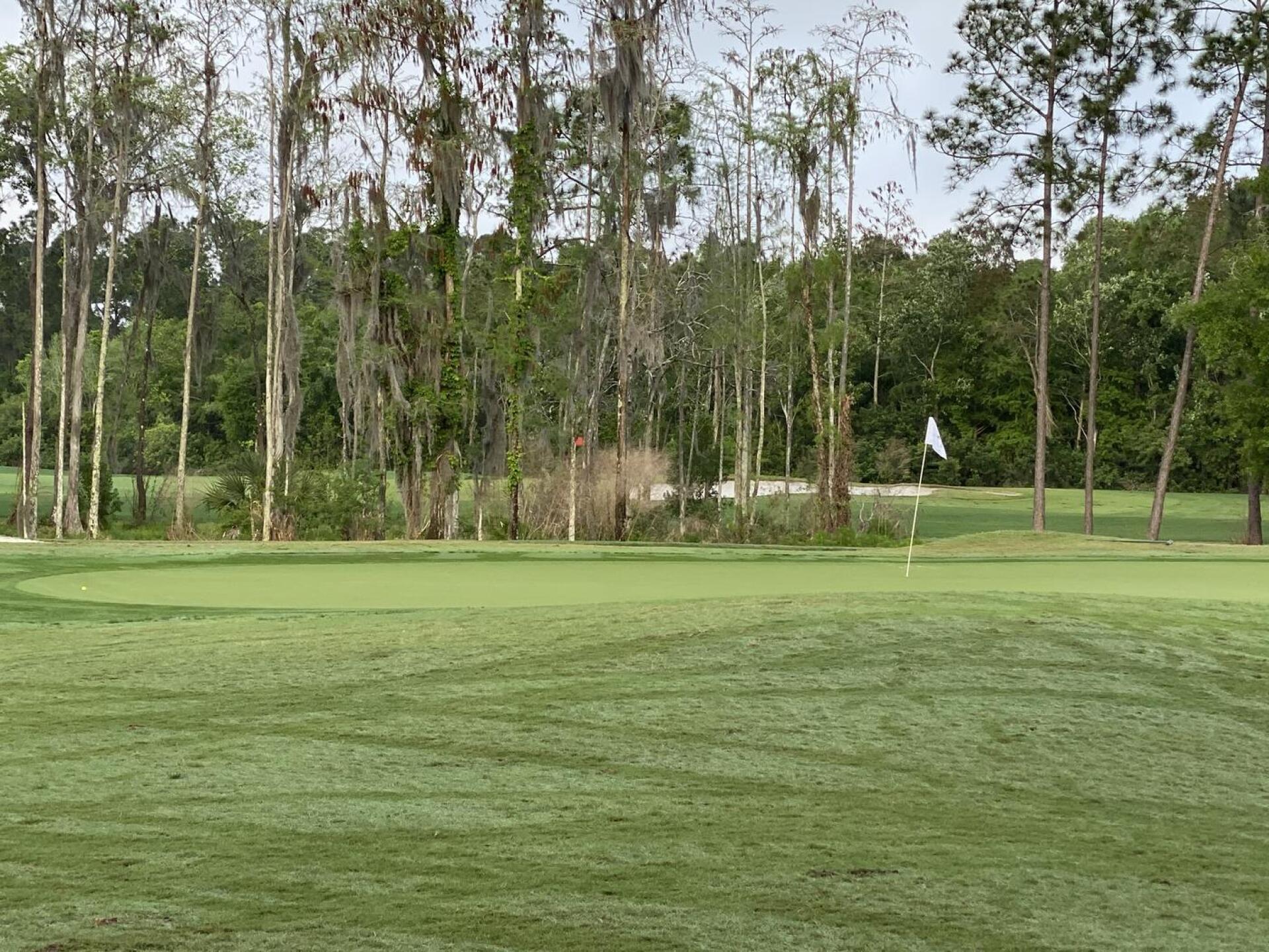 (Photo submitted by Timnagle on 03/31/2021)