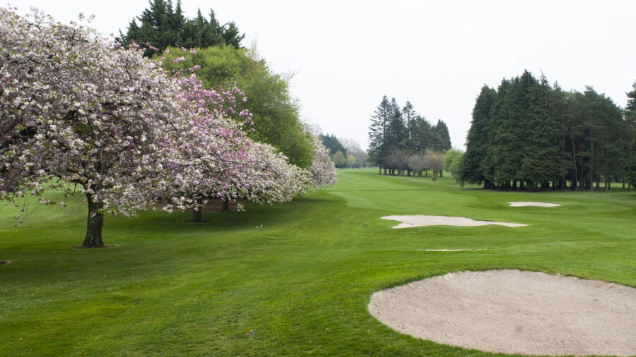 Royal Tara GC