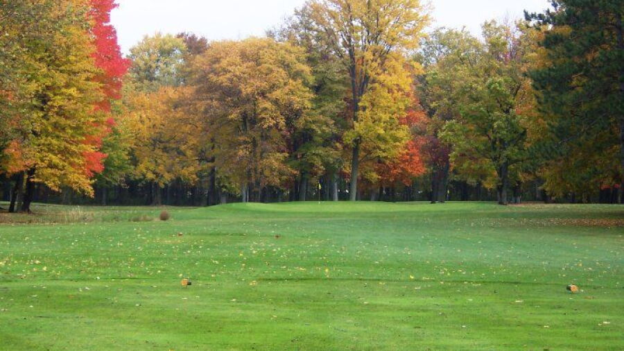 Blue at Winding Creek GC