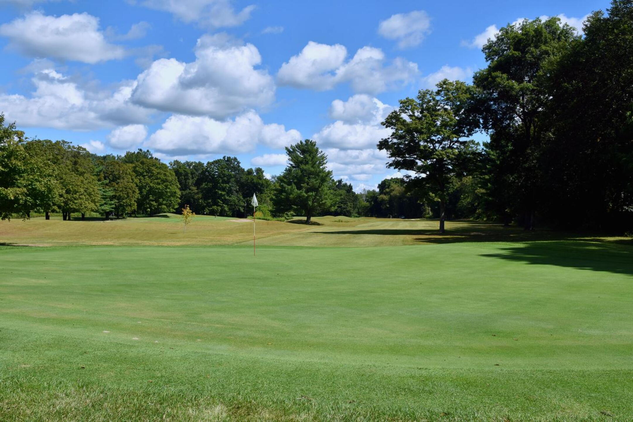 4th: A par-five with trouble from tee to green, all the way down both sides of the fairway. A tree intrudes on the left side of the fairway–not far from the green. (Photo submitted by AptlyLinked on 08/28/2025)