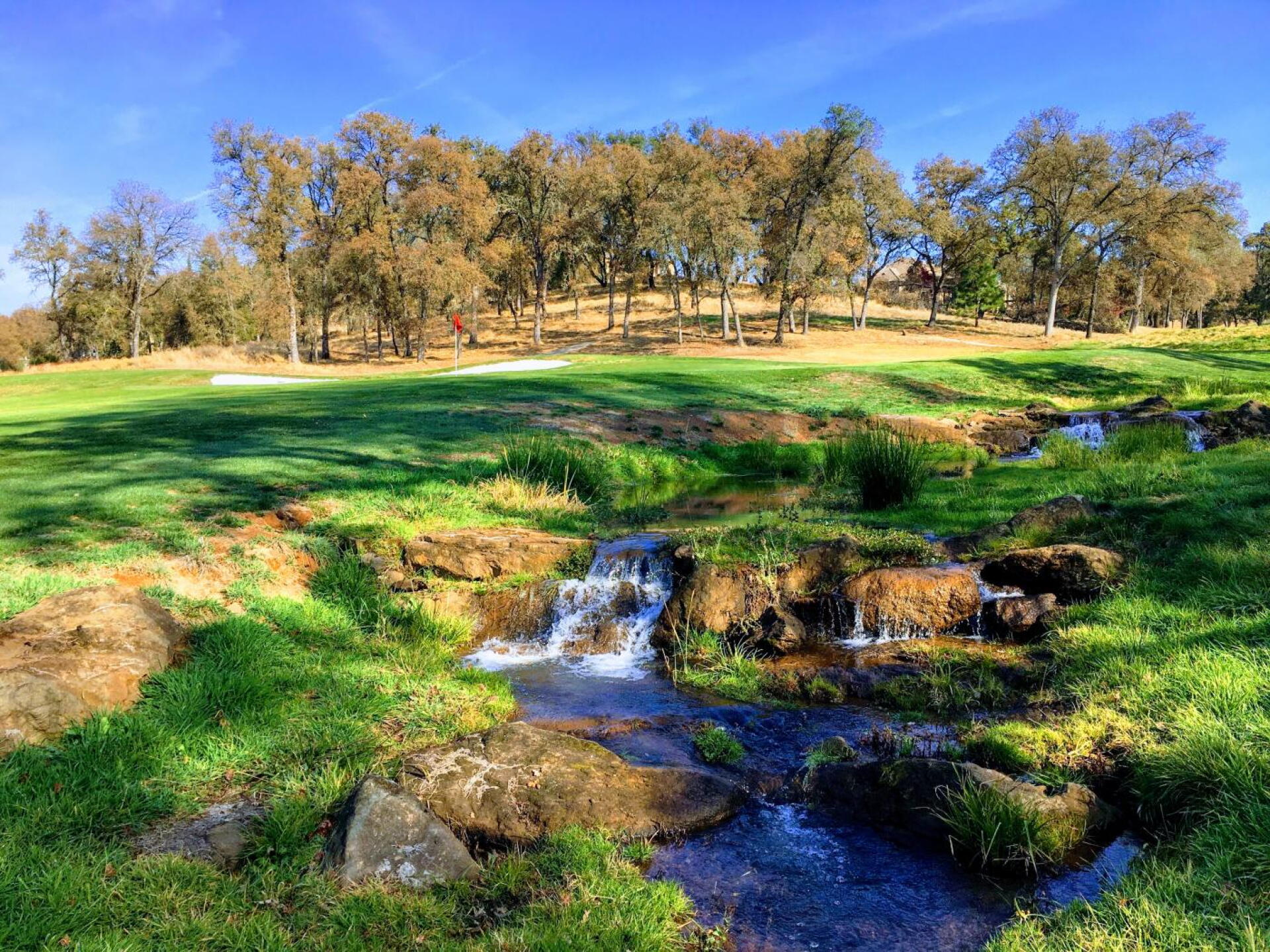 8th Hole (Photo submitted by gvXJCpwbFfA8ZPh6ivrm on 11/08/2019)