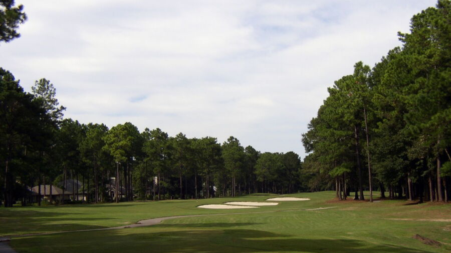 Rose Hill: #8