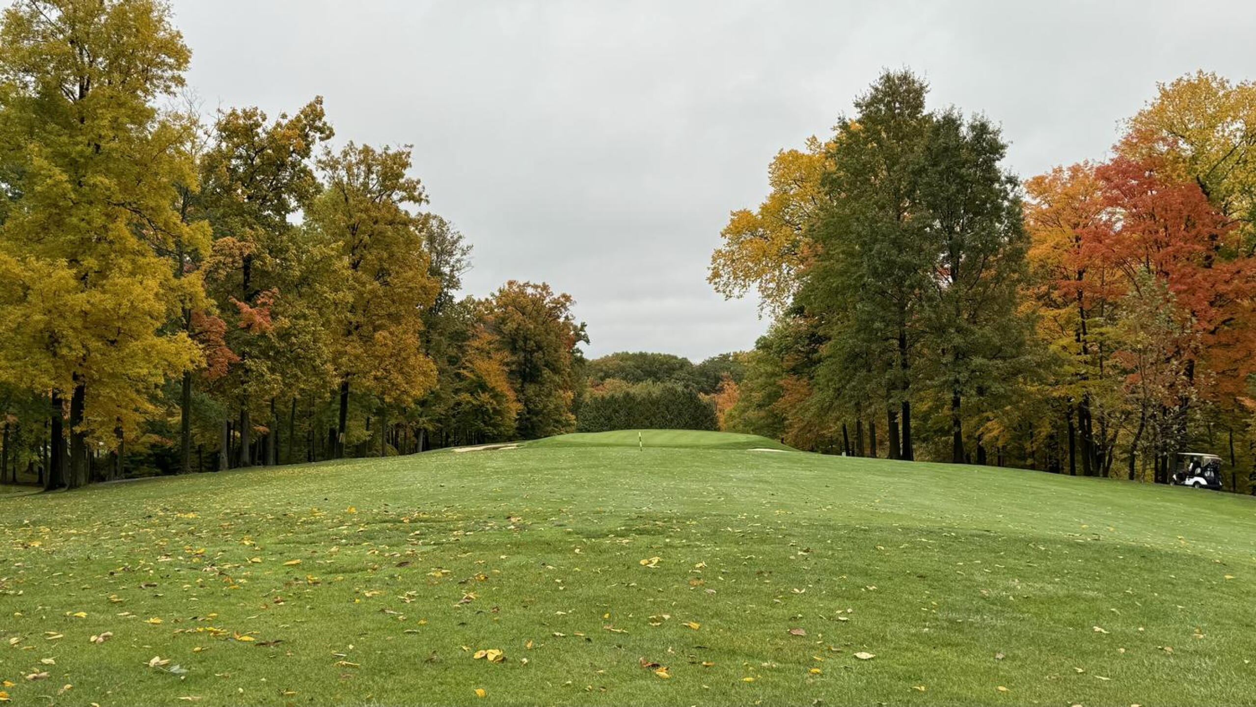 4rth fairway (Photo submitted by Jimmy3889038 on 11/12/2023)