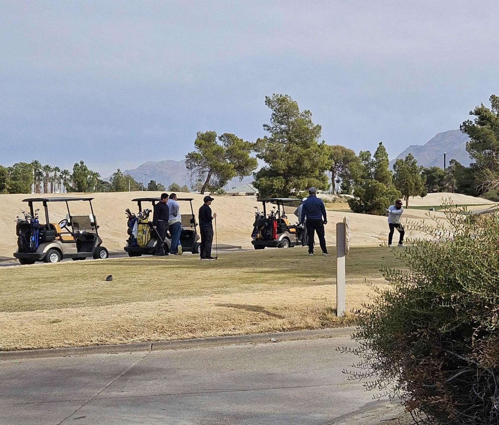 Group of 6 on tee (Photo submitted by u314161622535 on 12/24/2024)