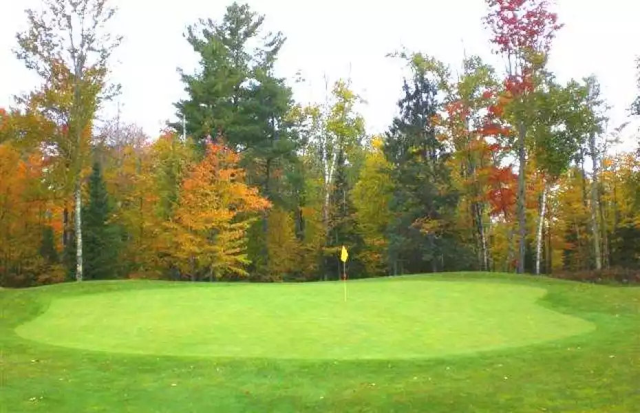 Wildwood Marshes GC: #5