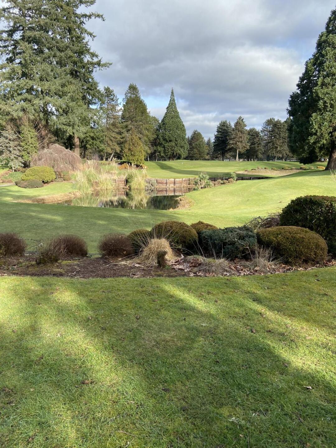 (Photo submitted by dbsupra on 02/07/2022)